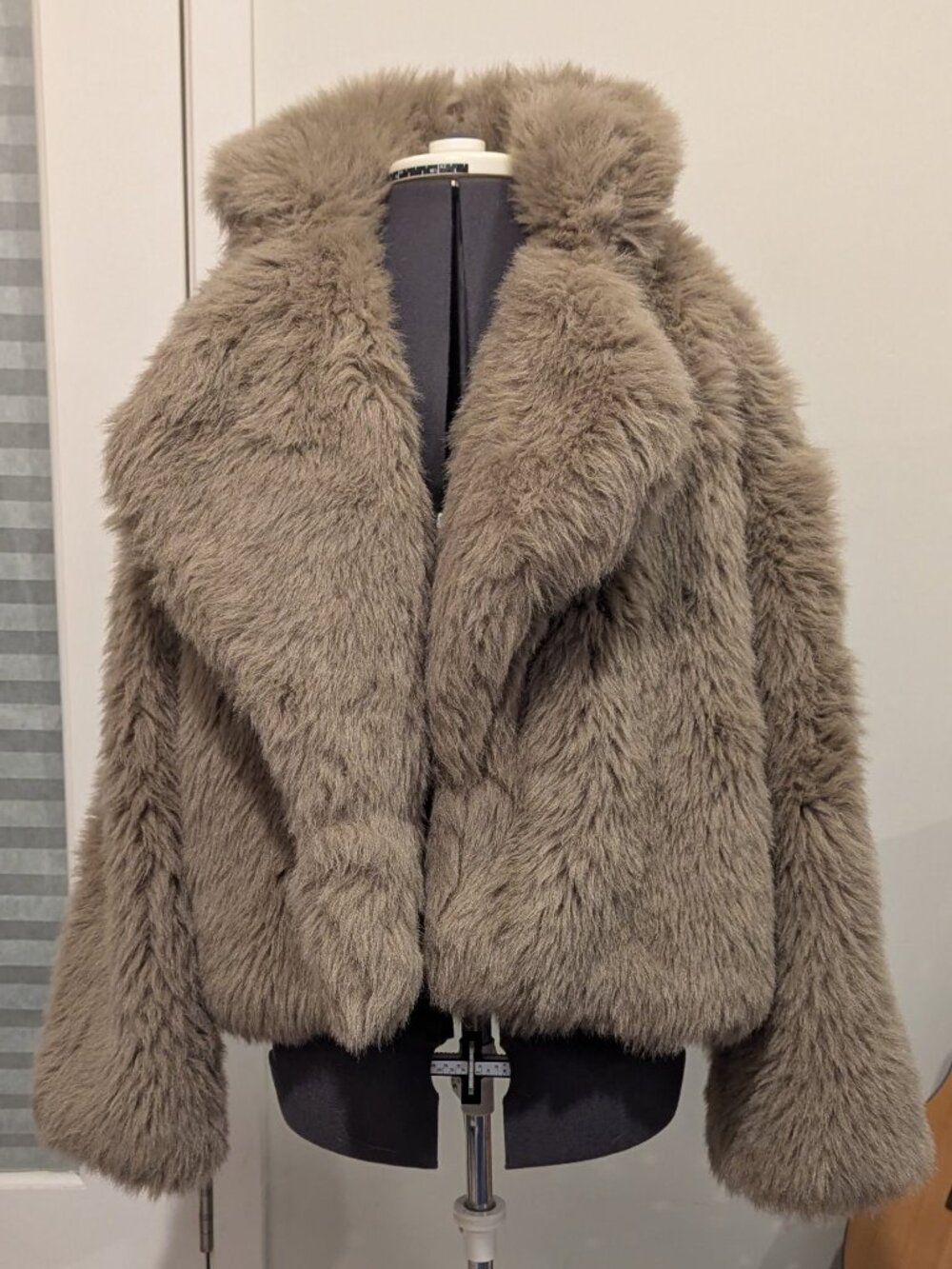 Lux Muse Faux Fur Coat